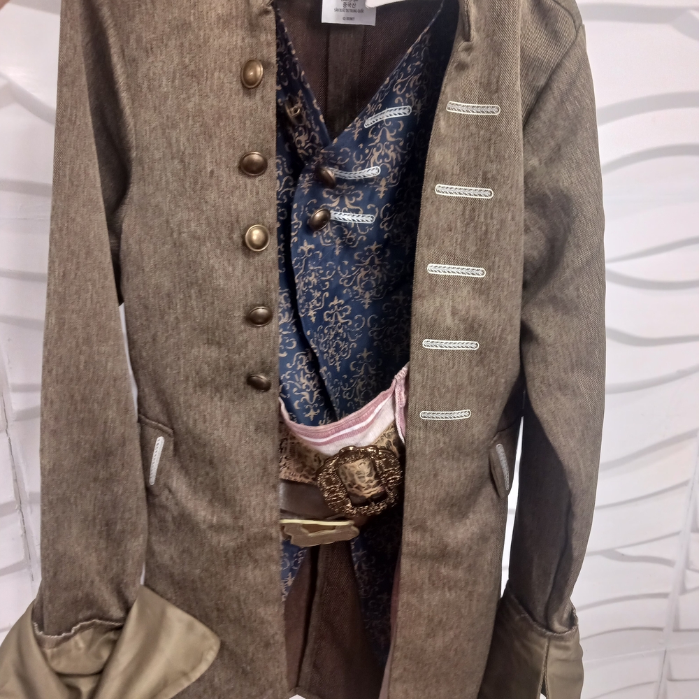 Disney Brown and Blue Kids Theater Costume